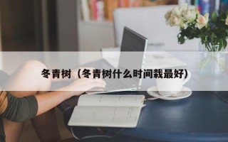 冬青树（冬青树什么时间栽最好）