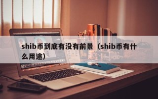 shib币到底有没有前景（shib币有什么用途）