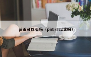 pi币可以买吗（pi币可以卖吗）