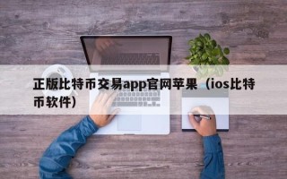 正版比特币交易app官网苹果（ios比特币软件）