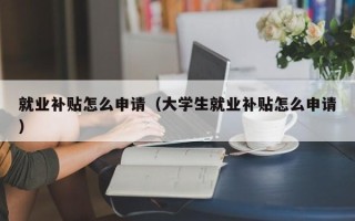 就业补贴怎么申请（大学生就业补贴怎么申请）