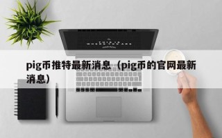 pig币推特最新消息（pig币的官网最新消息）