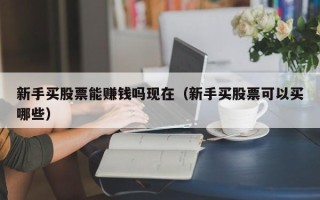 新手买股票能赚钱吗现在（新手买股票可以买哪些）