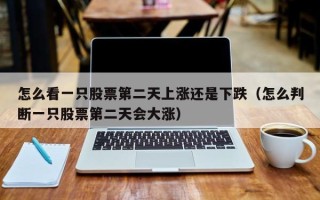 怎么看一只股票第二天上涨还是下跌（怎么判断一只股票第二天会大涨）