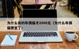 为什么有的布偶猫才2000元（为什么布偶猫便宜了）