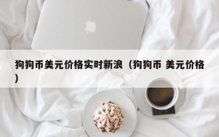 狗狗币美元价格实时新浪（狗狗币 美元价格）