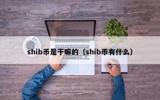 shib币是干嘛的（shib币有什么）