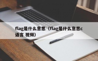 flag是什么意思（flag是什么意思c语言 视频）