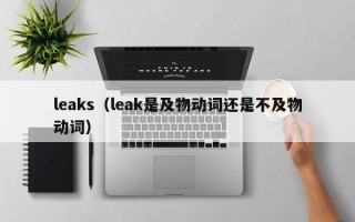 leaks（leak是及物动词还是不及物动词）