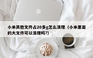 小米其他文件占20多g怎么清理（小米里面的大文件可以清理吗?）