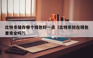 比特币储存哪个钱包好一点（比特币放在钱包里安全吗?）