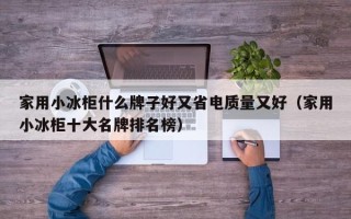 家用小冰柜什么牌子好又省电质量又好（家用小冰柜十大名牌排名榜）