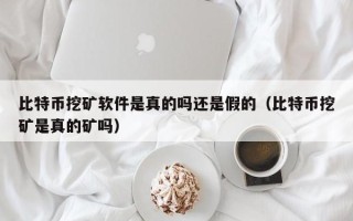 比特币挖矿软件是真的吗还是假的（比特币挖矿是真的矿吗）