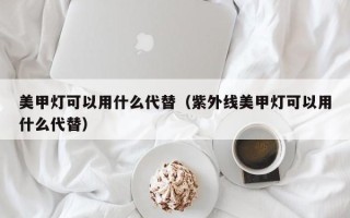 美甲灯可以用什么代替（紫外线美甲灯可以用什么代替）