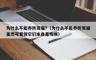 为什么不能养折耳猫?（为什么不能养折耳猫虽然可爱但它们本身是残疾）