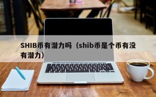 SHIB币有潜力吗（shib币是个币有没有潜力）