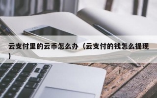 云支付里的云币怎么办（云支付的钱怎么提现）