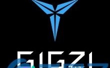 GZB币Gigzi是什么？GZB官网、白皮书和团队简介