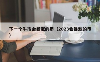 下一个牛市会暴涨的币（2023会暴涨的币）