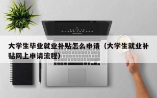 大学生毕业就业补贴怎么申请（大学生就业补贴网上申请流程）