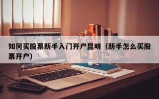 如何买股票新手入门开户昆明（新手怎么买股票开户）