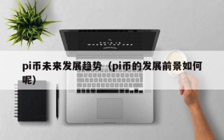 pi币未来发展趋势（pi币的发展前景如何呢）