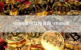 STORM币可以投资吗_STORM币