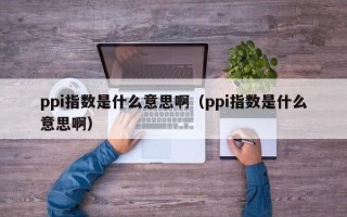 ppi指数是什么意思啊（ppi指数是什么意思啊）