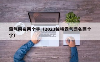 霸气网名两个字（2023独特霸气网名两个字）