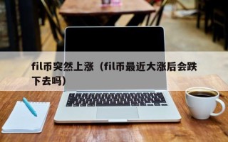 fil币突然上涨（fil币最近大涨后会跌下去吗）