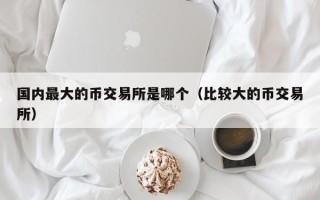 国内最大的币交易所是哪个（比较大的币交易所）