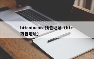 bitcoincore钱包地址（btc 钱包地址）