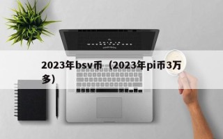 2023年bsv币（2023年pi币3万多）