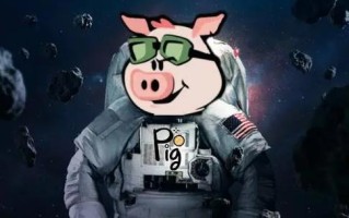 pig币交易所下载教程 pig币钱包哪里下载