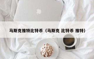 马斯克推特比特币（马斯克 比特币 推特）