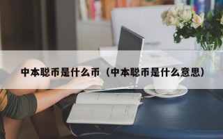 中本聪币是什么币（中本聪币是什么意思）