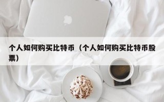 个人如何购买比特币（个人如何购买比特币股票）