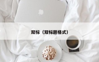 双标（双标题格式）