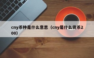 cny币种是什么意思（cny是什么货币200）