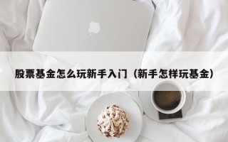 股票基金怎么玩新手入门（新手怎样玩基金）