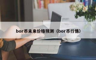 bor币未来价格预测（bor币行情）