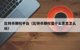 比特币期权平台（比特币期权是什么意思怎么玩）