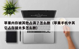 苹果内存被其他占满了怎么删（苹果手机中其它占存储太多怎么删）