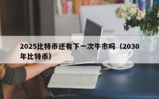 2025比特币还有下一次牛市吗（2030年比特币）