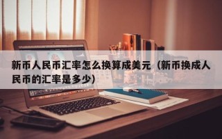 新币人民币汇率怎么换算成美元（新币换成人民币的汇率是多少）