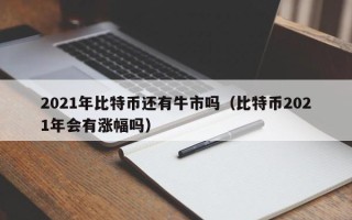 2021年比特币还有牛市吗（比特币2021年会有涨幅吗）