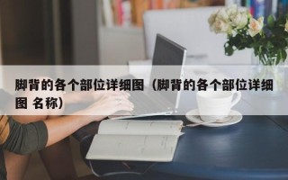 脚背的各个部位详细图（脚背的各个部位详细图 名称）