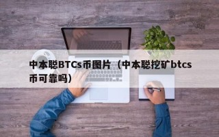 中本聪BTCs币图片（中本聪挖矿btcs币可靠吗）