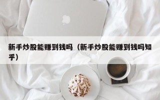 新手炒股能赚到钱吗（新手炒股能赚到钱吗知乎）