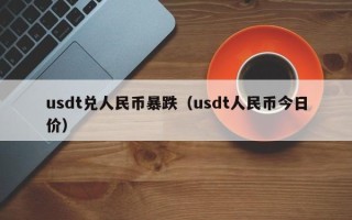 usdt兑人民币暴跌（usdt人民币今日价）